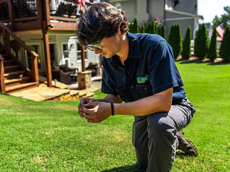 local lawn care pro inspecting lawn in alpharetta ga