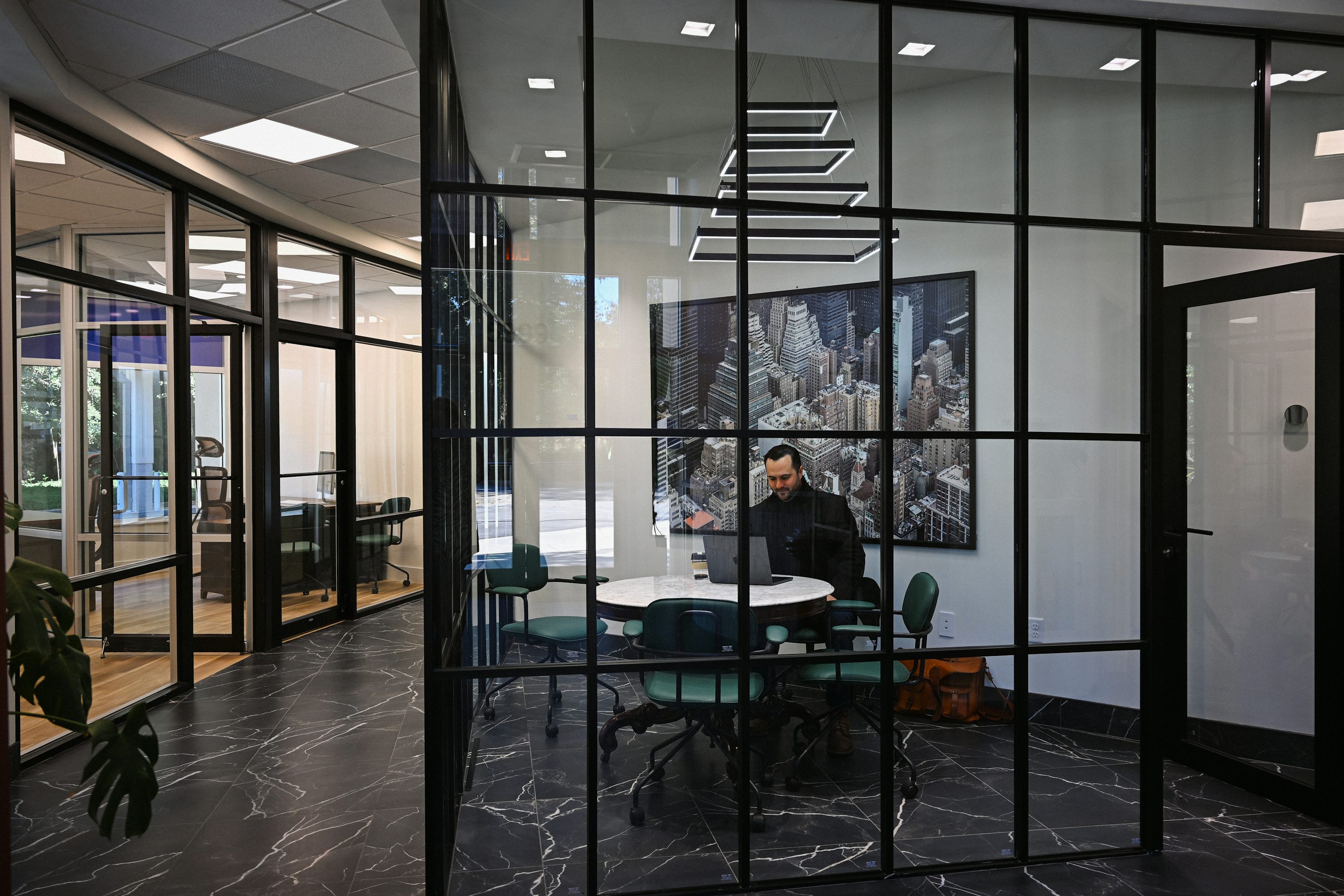 Professional working with software in a modern office