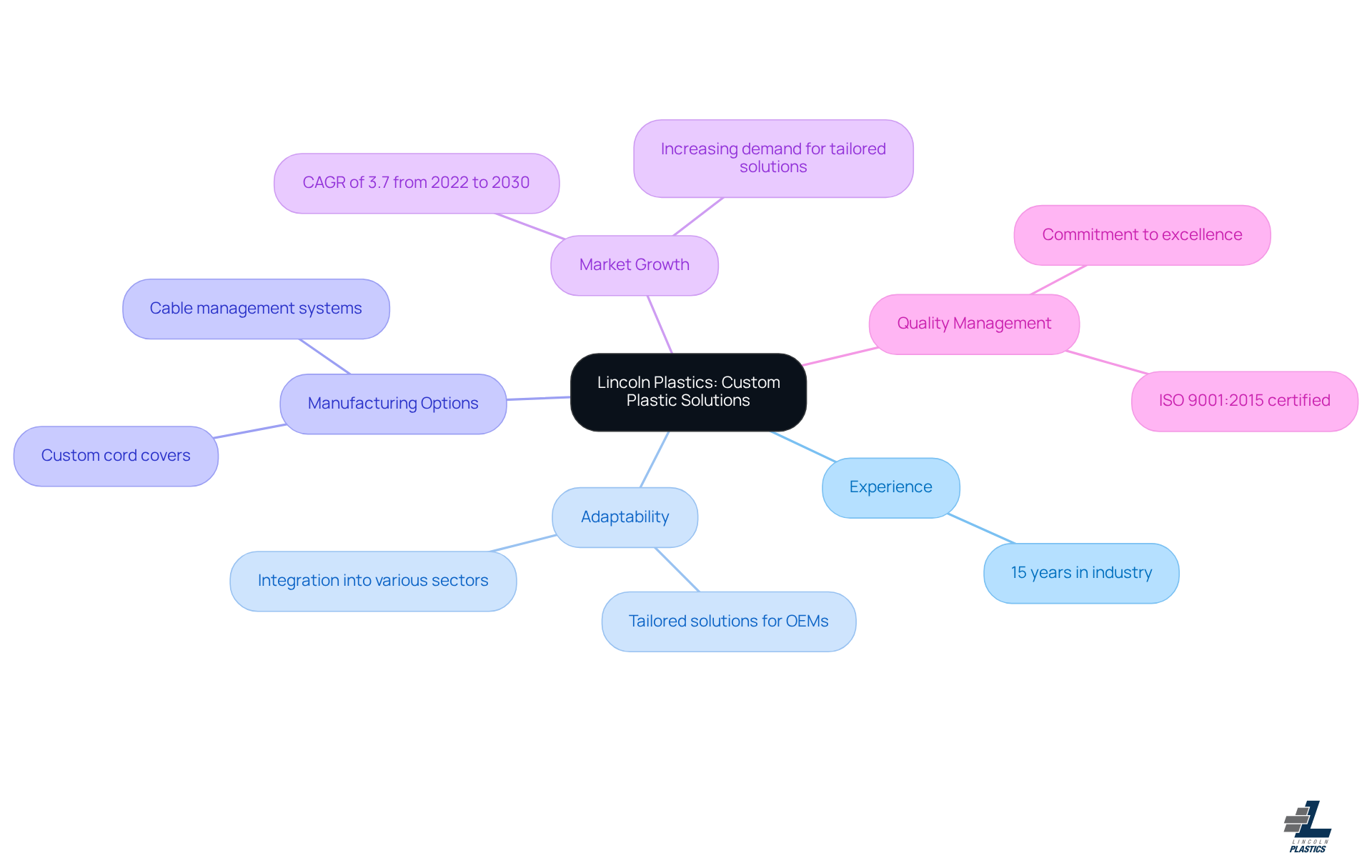 The center represents Lincoln Plastics' focus on custom solutions, with branches showing key aspects of their offerings. Each branch highlights important details, making it easy to see how they contribute to the overall service.