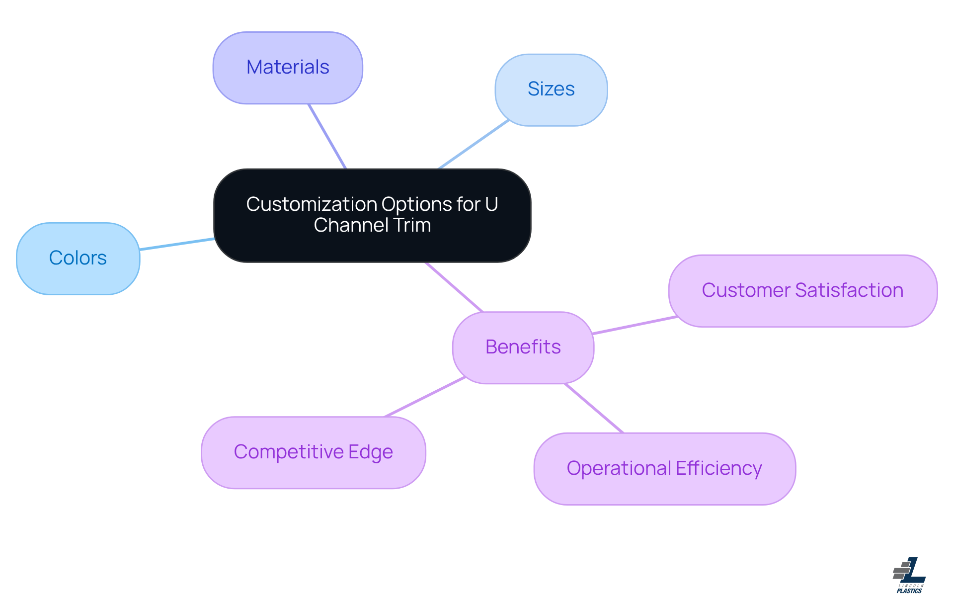 The center shows the main topic of customization, while the branches illustrate different options and their benefits. Each branch highlights how customization can enhance customer relationships and operational success.