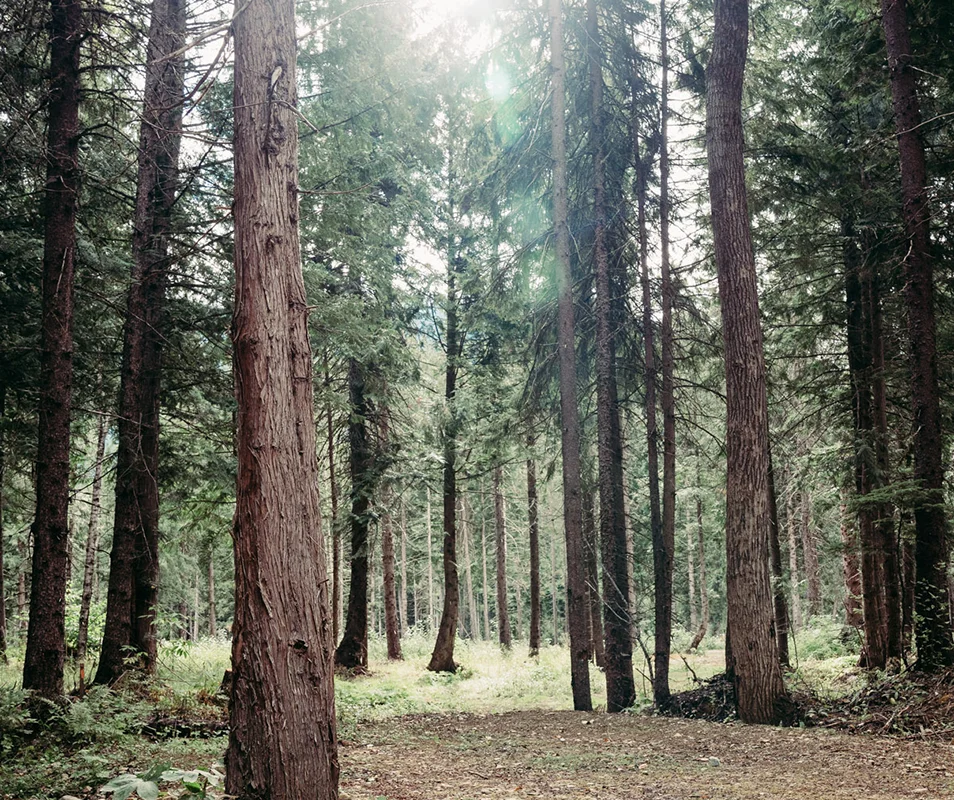 Single Campsite - Riverside North