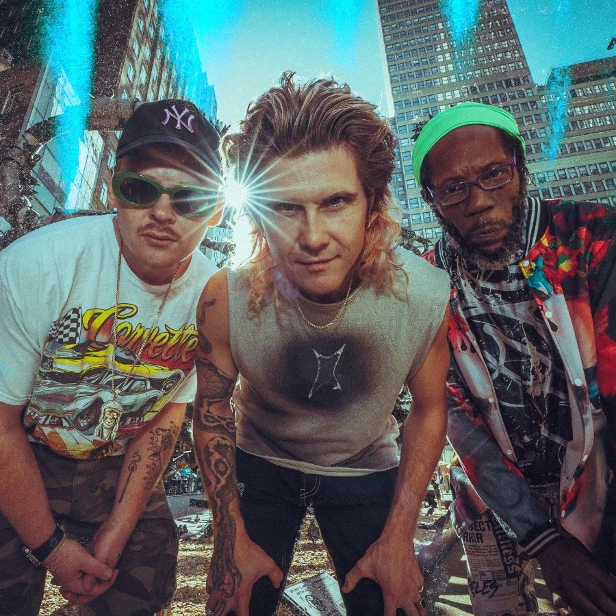 Too Many Zooz