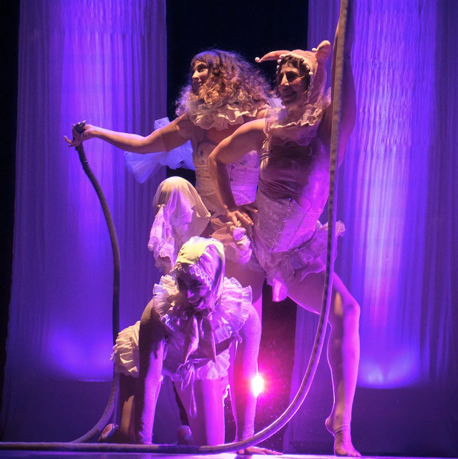 Circus Acts Insomniacs