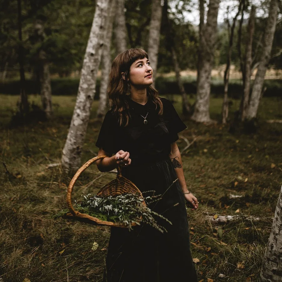 Herbalism Wisdom
