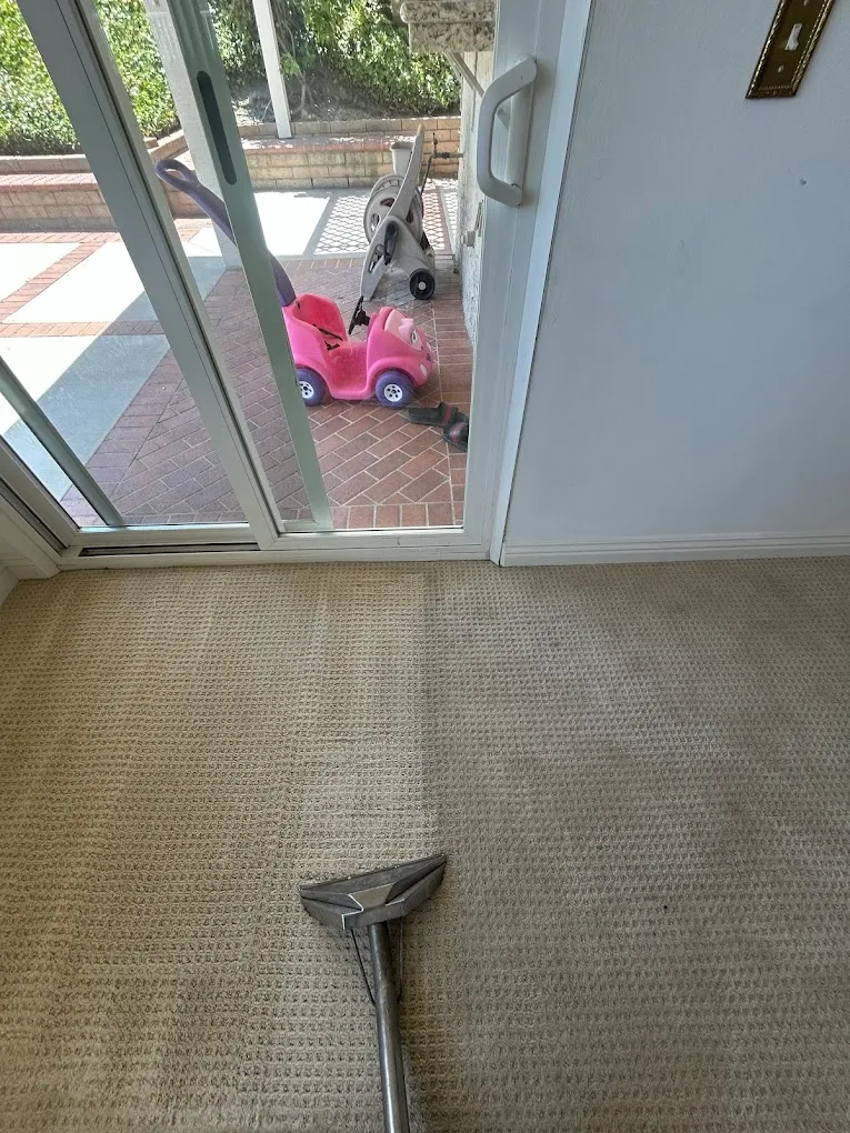 Cleaned carpet after