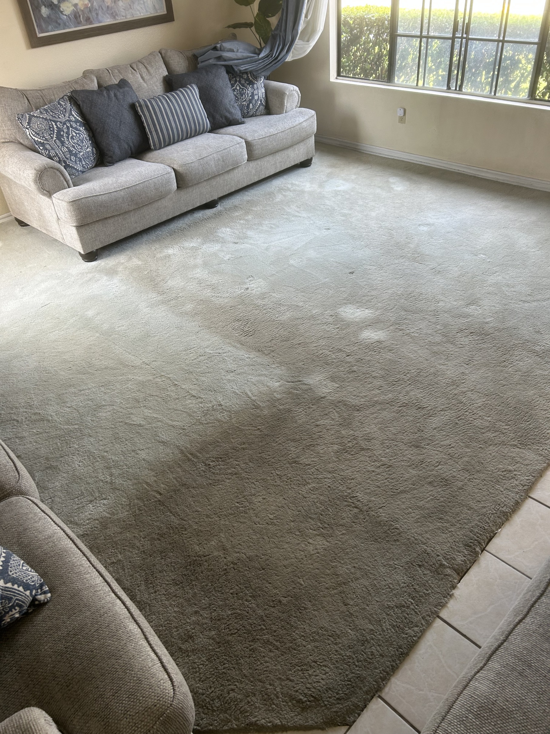 Living room with light beige carpet showing visible dirt and stains, surrounded by beige couches with patterned and solid pillows, and a window with sunlight and greenery outside.
