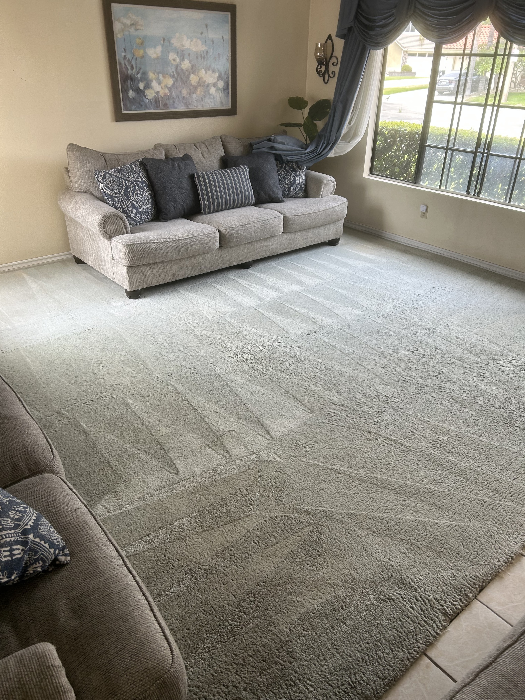 Bright living room with light beige carpet showing vacuumed patterns, light gray sofa with blue and gray cushions, large window with blue curtains, and wall art above sofa.
