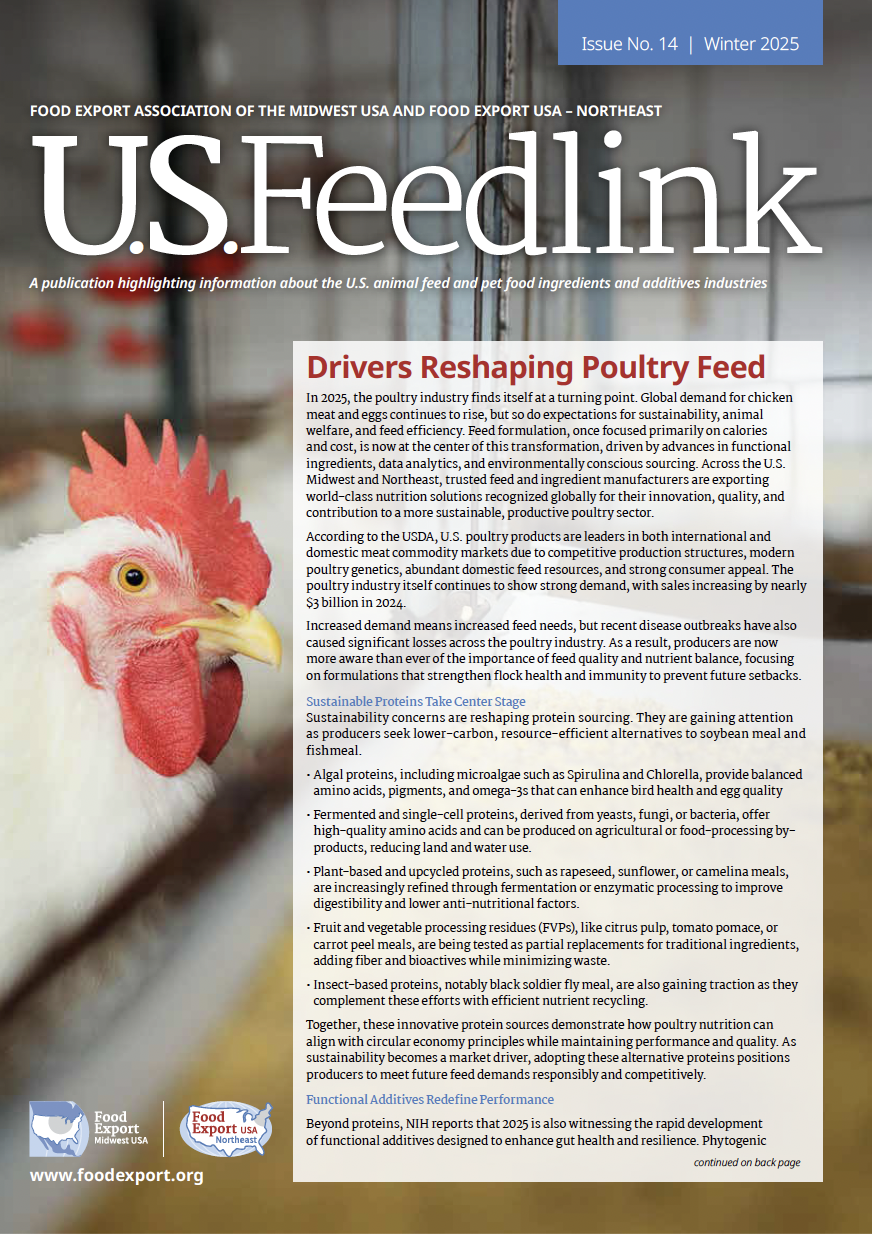 Cover of U.S. Feedlink Issue No. 14 Winter 2025 featuring a close-up photo of a white chicken, with an article titled 'Drivers Reshaping Poultry Feed' discussing trends in poultry industry and sustainable proteins.