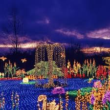 Program art for Wonders of the Night