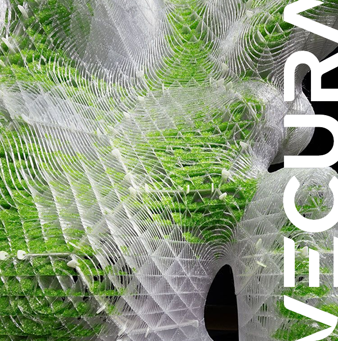 Intricate white geometric mesh structure partially covering green foliage with a circular opening on the right side.
