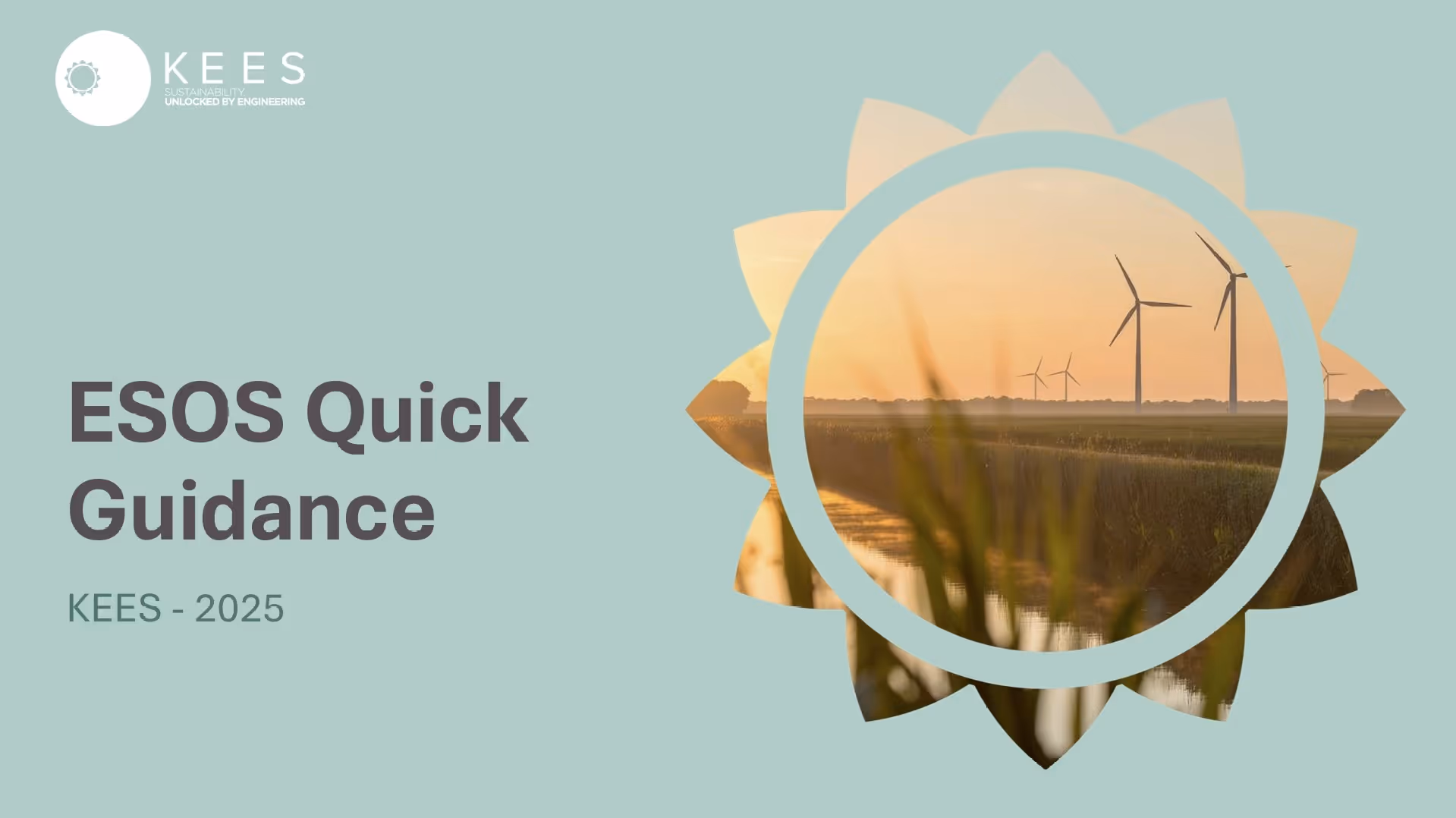 ESOS quick guidance