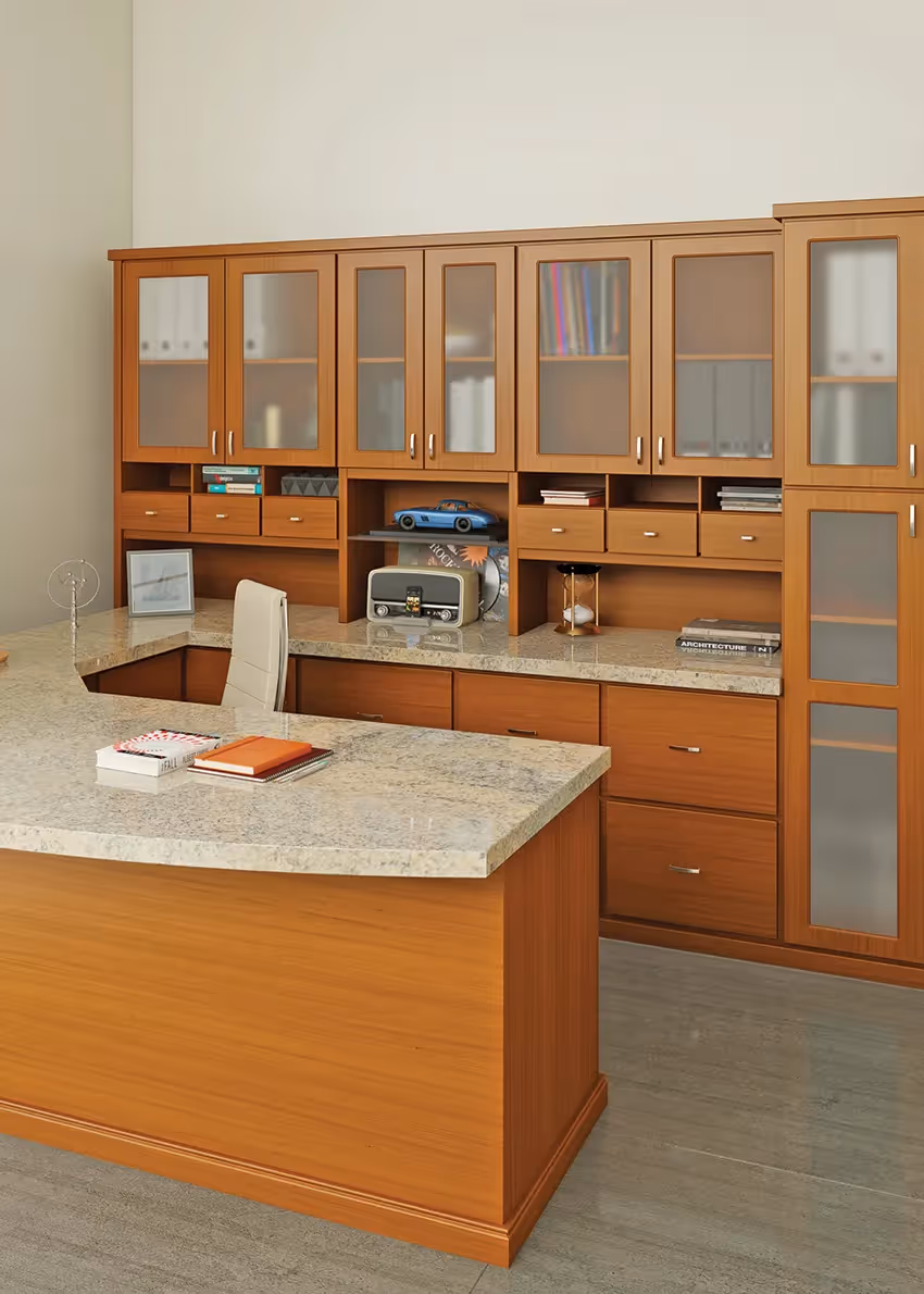 Closets by Design Commercial Office in Winter Cherry Infinity Office + Deco finish