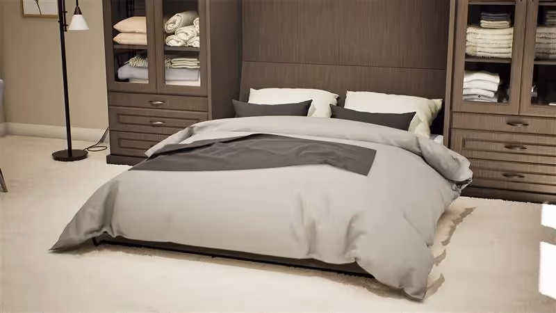 Closets by Design Wallbed