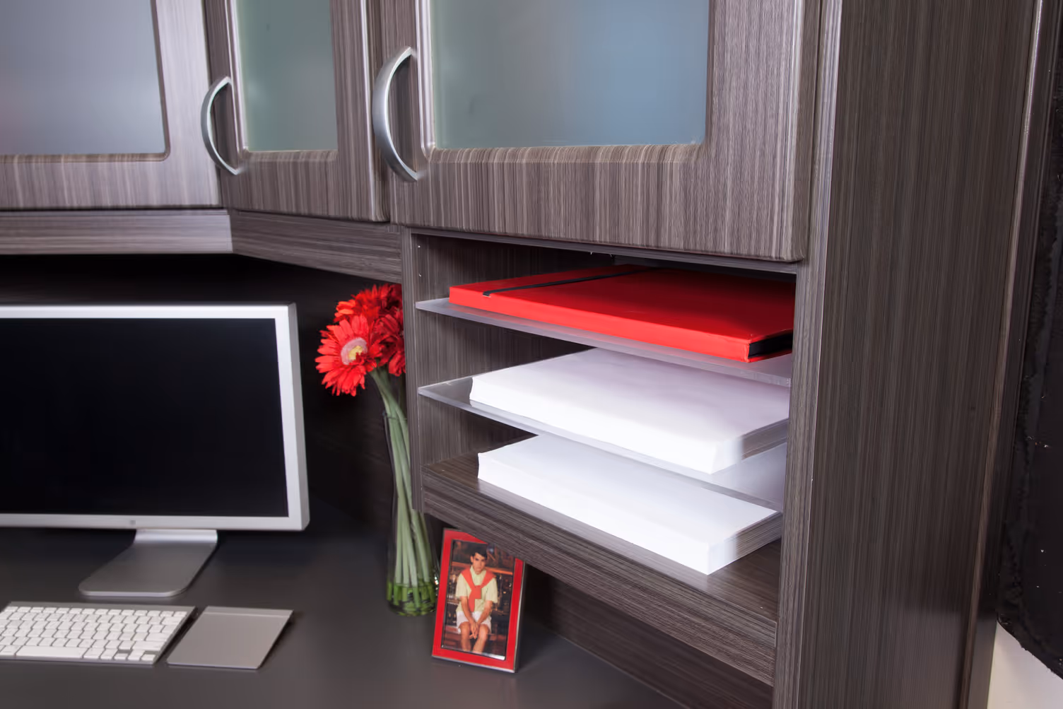 Closet by Design Office Accessory Insert