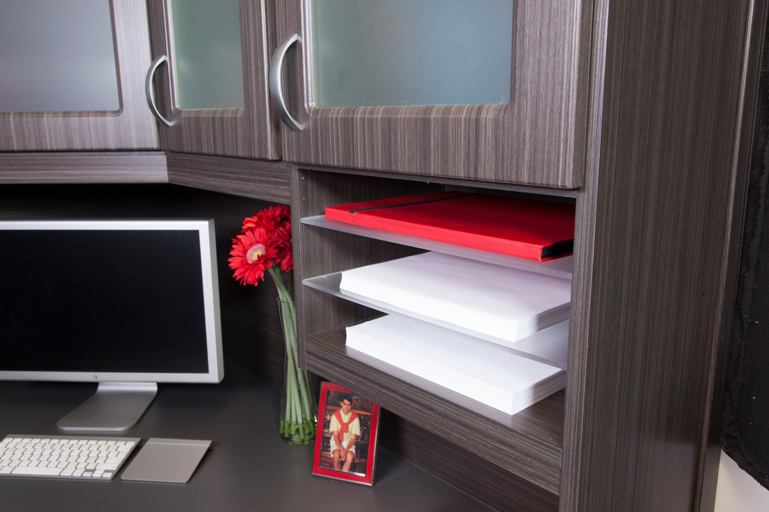 Closet by Design Office Accessory Insert