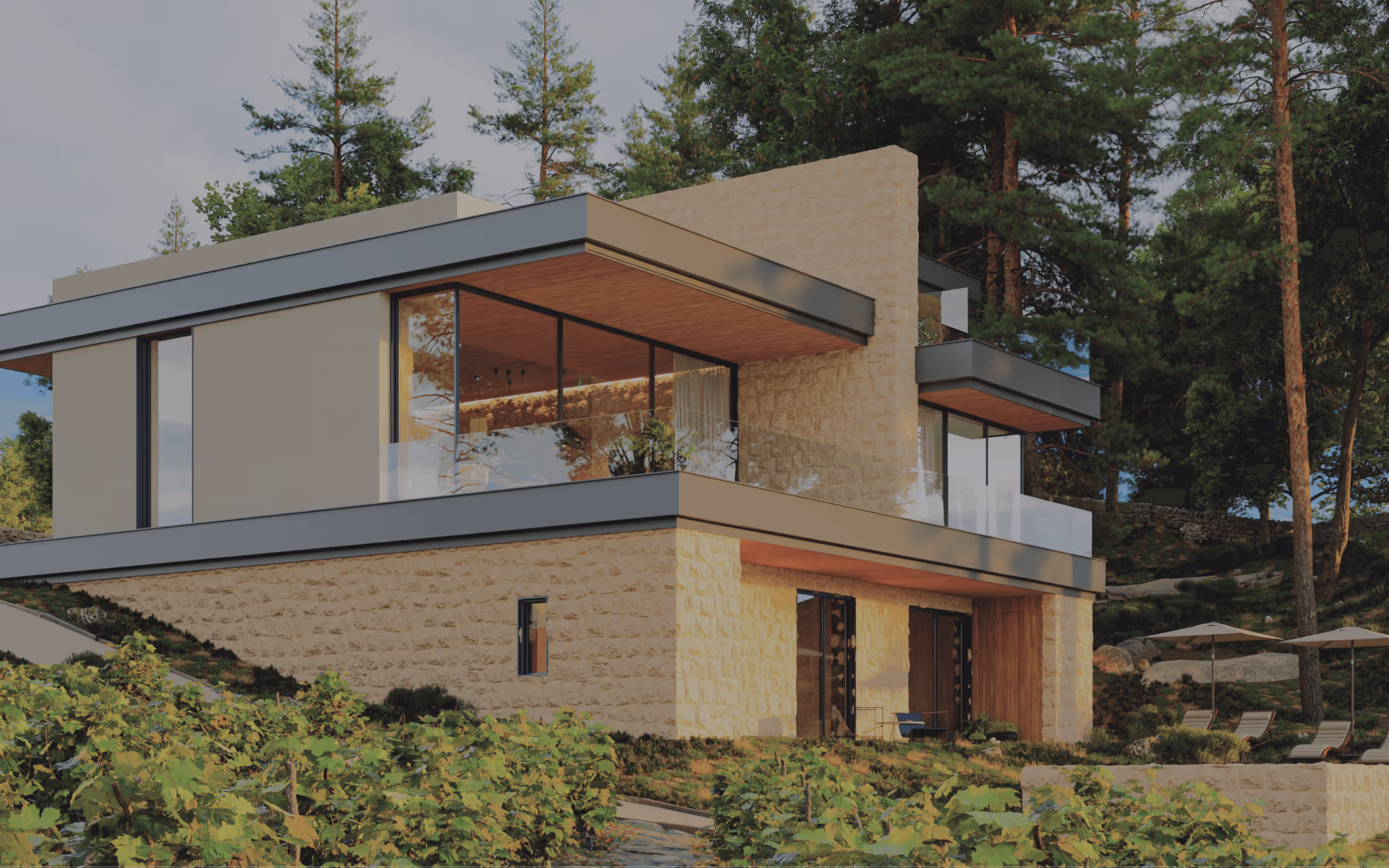 Modern house landscape.