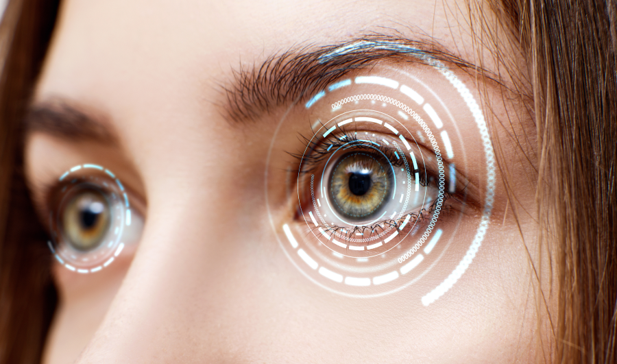 Rear view of an Audi car highlighting the elegant logo.