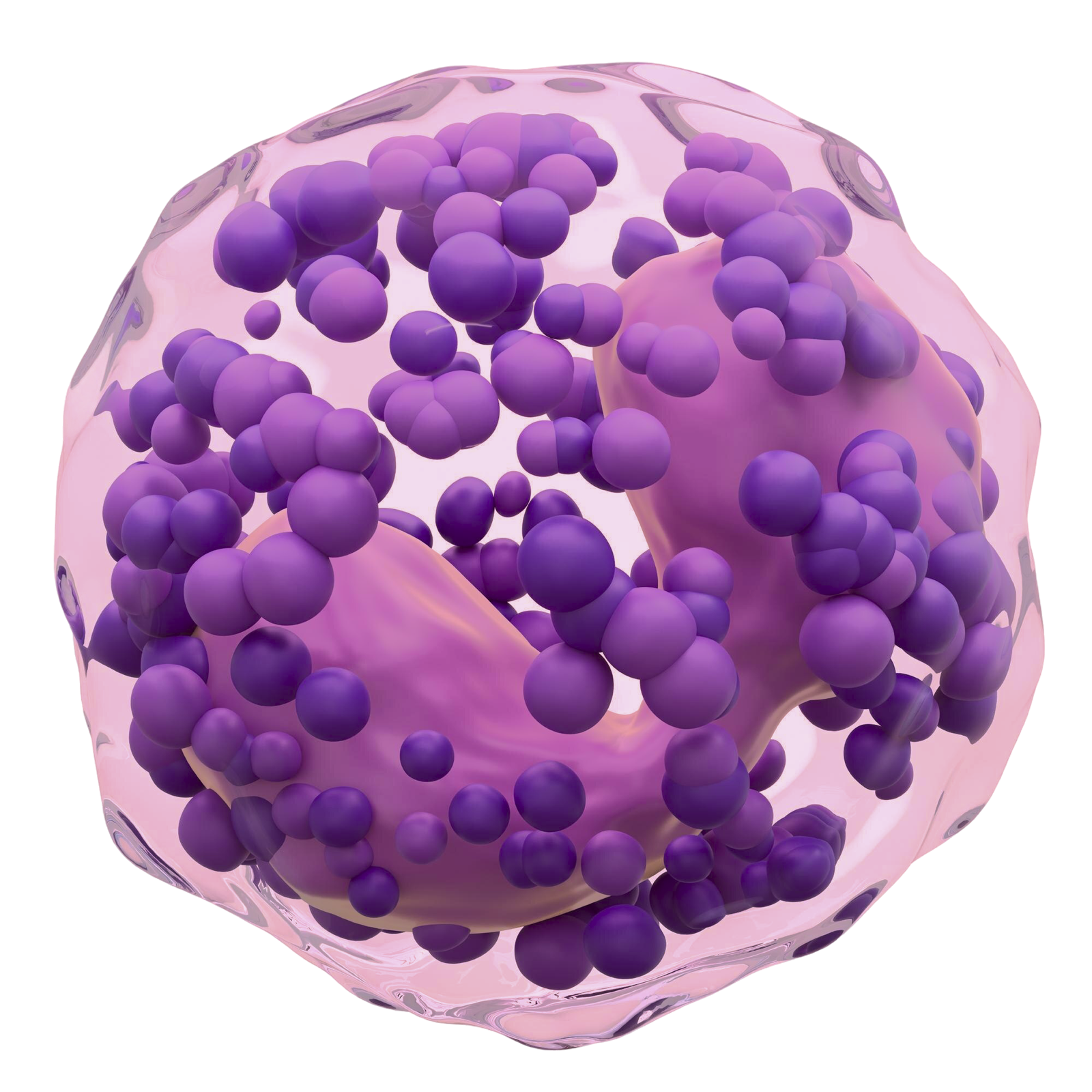 iOrganBio