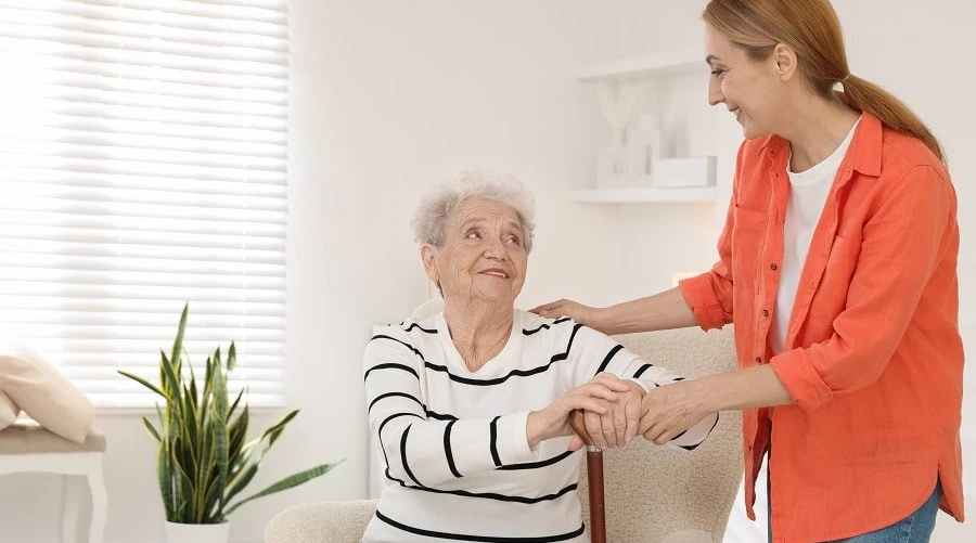What Is Legal Guardianship in Idaho?