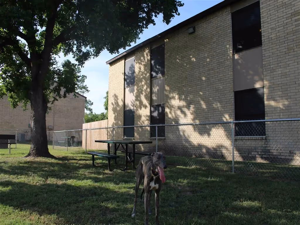 Exterior building and dog