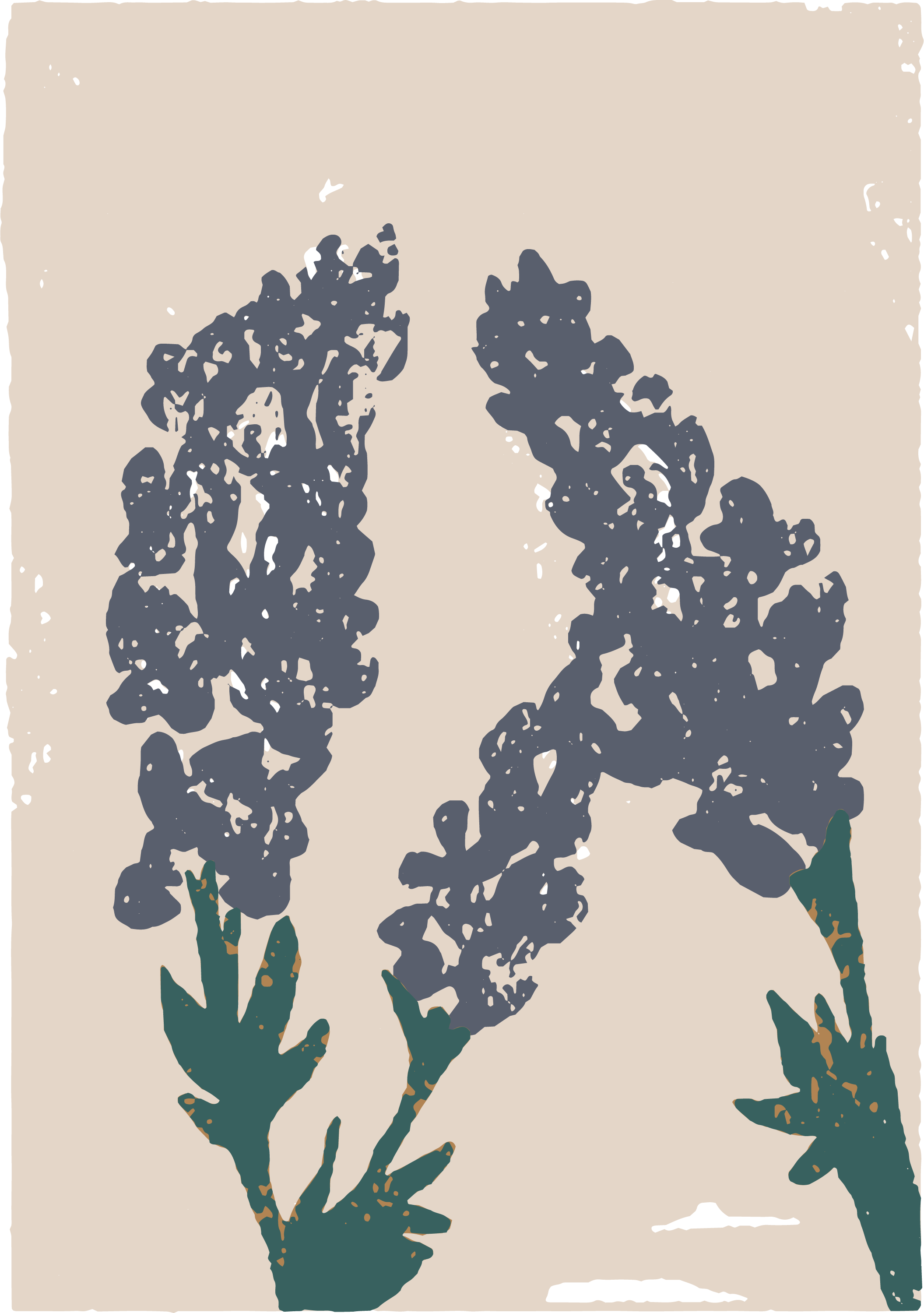 Illustration of two bluebonnet flower stems with blue-gray petals and dark green leaves on a beige background.