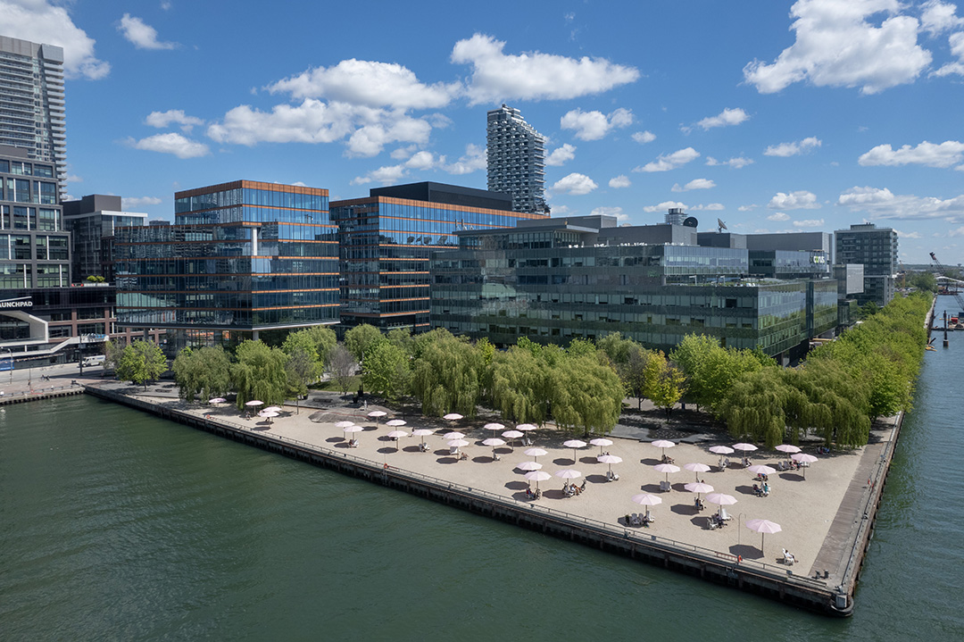 Nebula Cafe's Business Plan