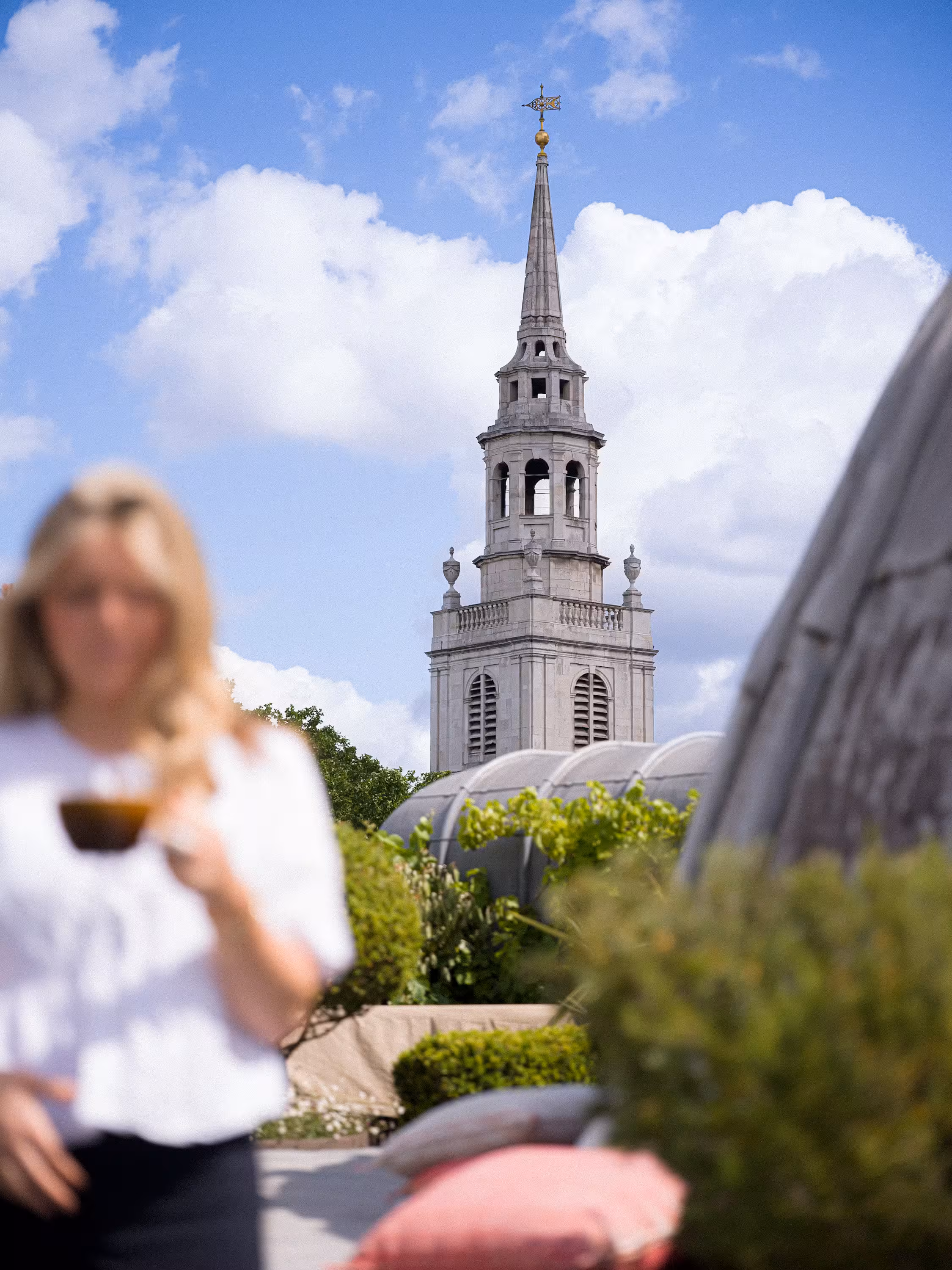 A image of the full truffle team