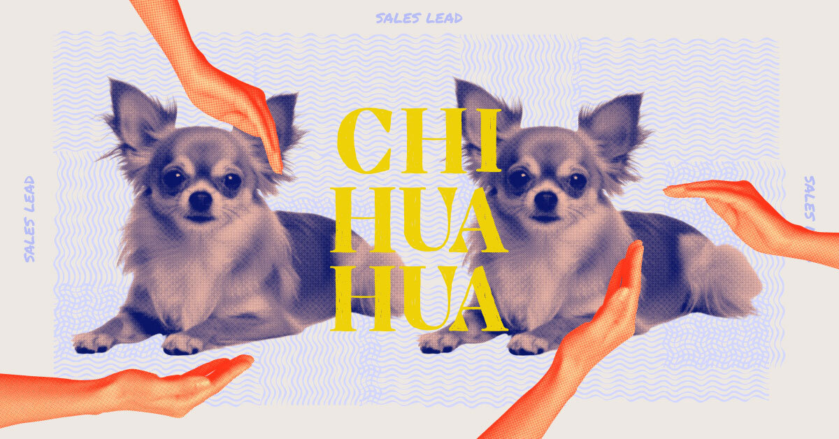 A chihuahua dog and the tech job its representing, sales lead