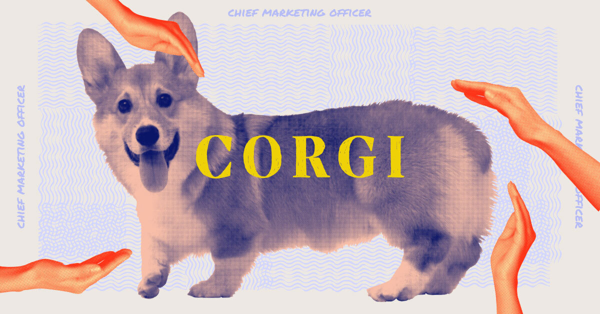 A corgi dog and the tech job its representing, chief marketing officer