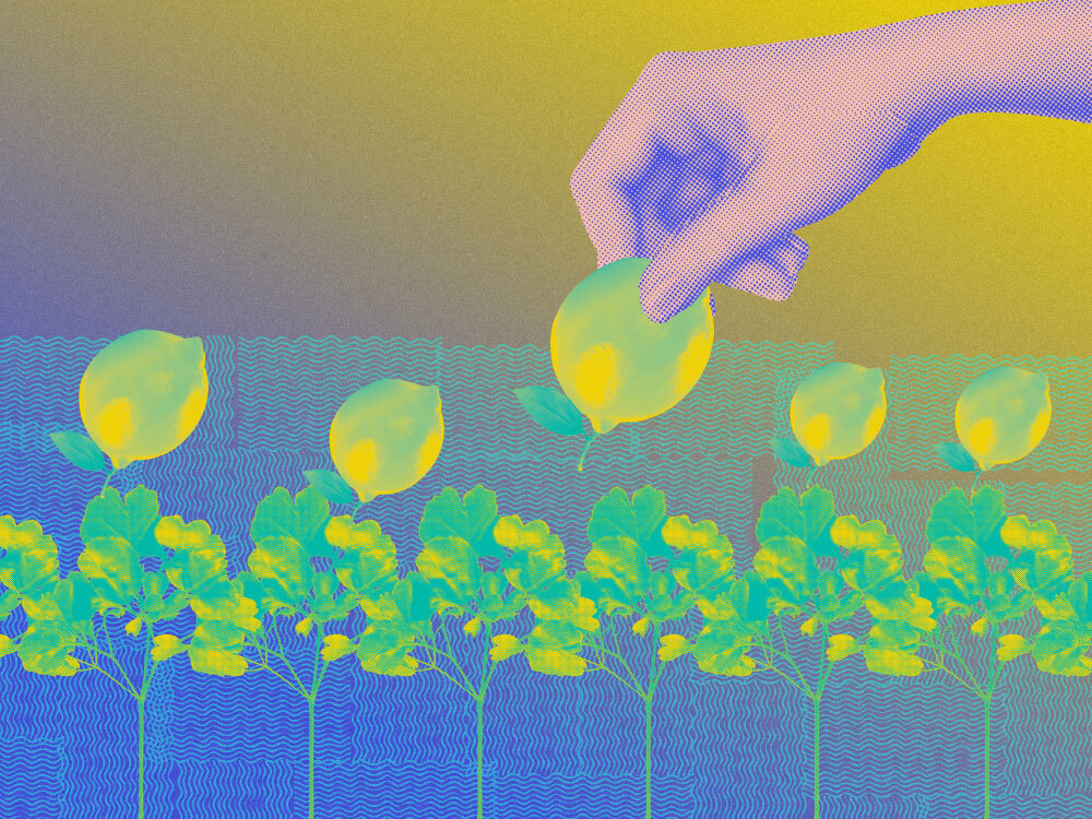 An image showing a hand picking a flower, representing selecting the exact right partners