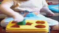 GIF of a baby trying to put a square block in a box through holes of different shapes then simply lifting the lid and putting the block in the box.
