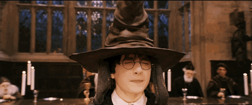 GIF of Harry Potter wearing the sorting hat as the hat yells "Gryffindor!"