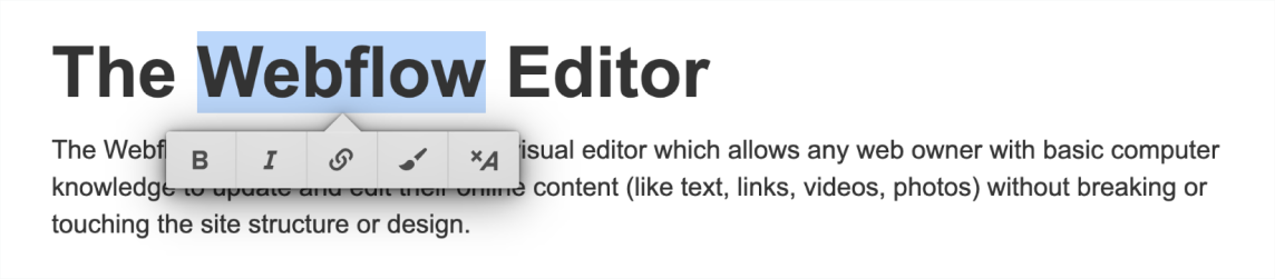 Intro to the CMS Editor | Webflow University
