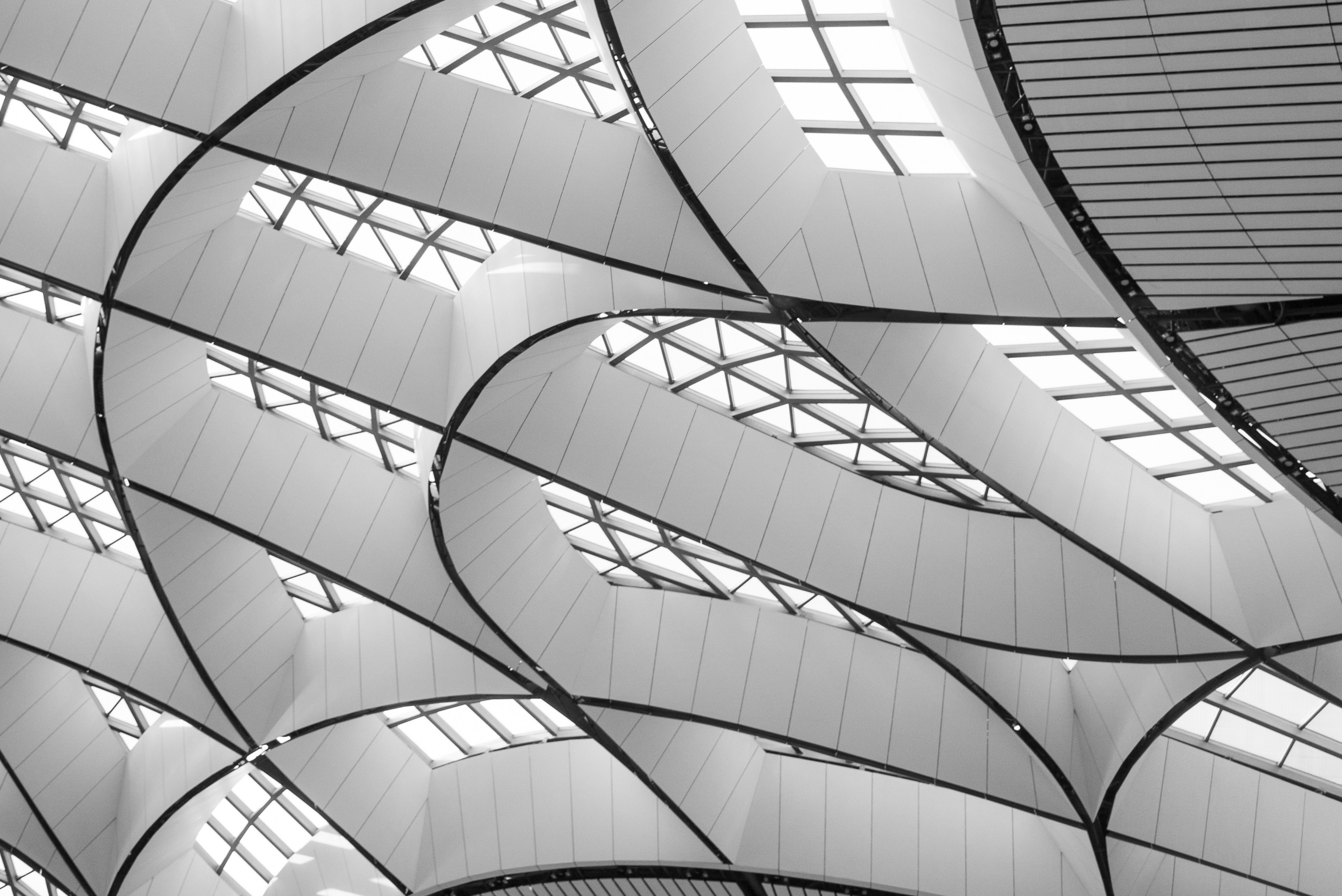 When AI builds itself: what Anthropic's data means for people leaders