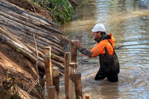 Restauration de la ripisylve de l'Arc à Meyreuil