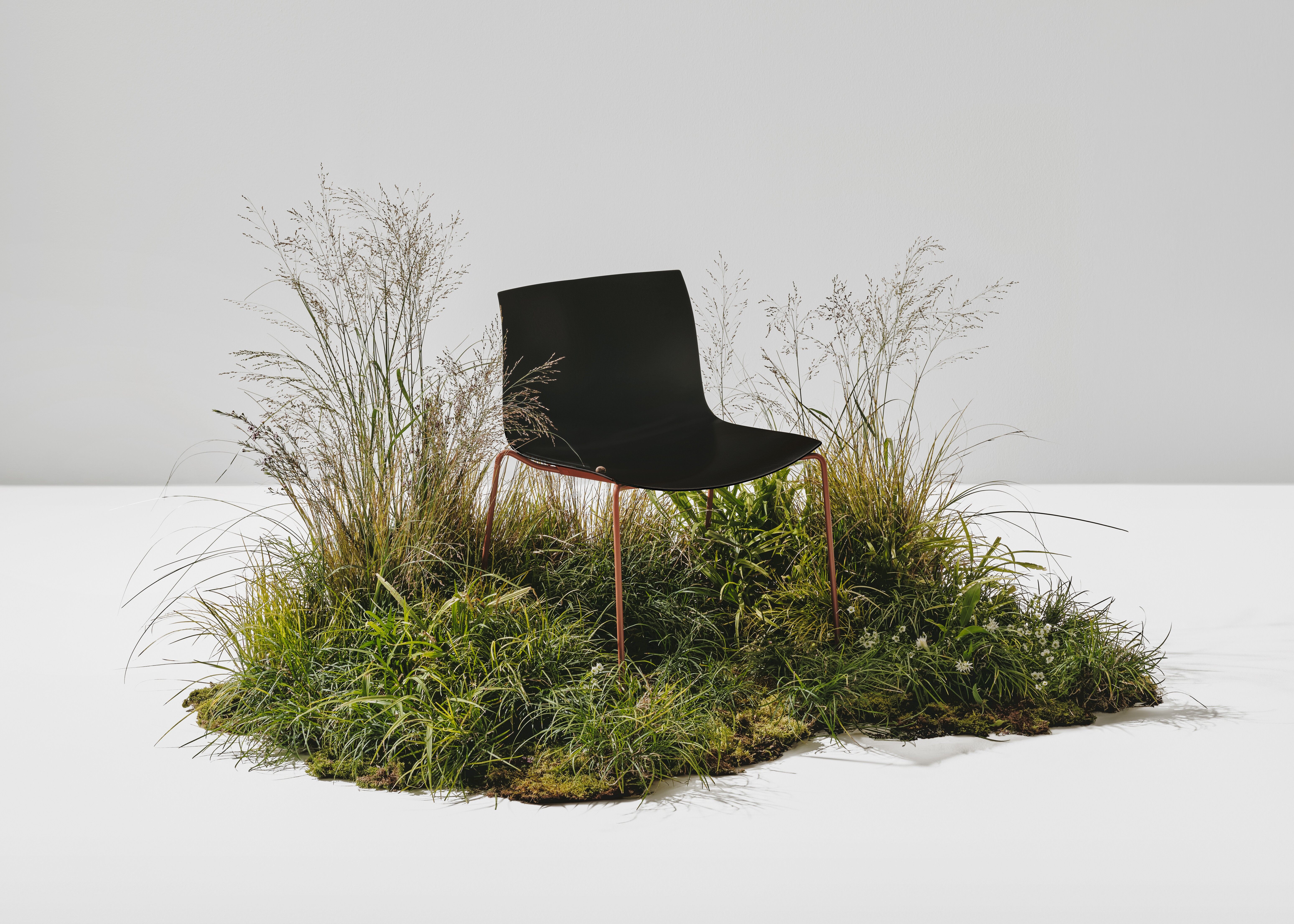 Chair, credits Salva Lopez