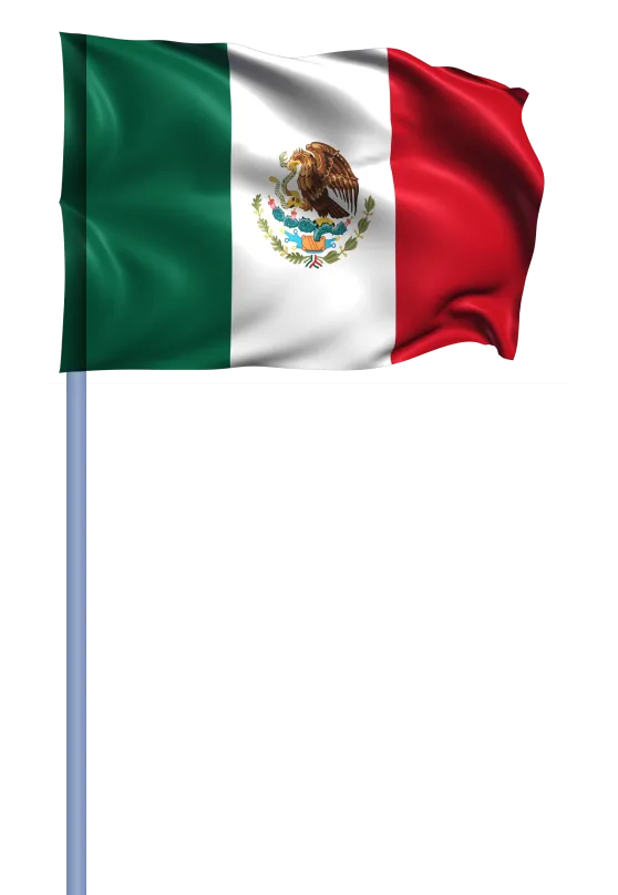 Grey foreign bank account in Mexico