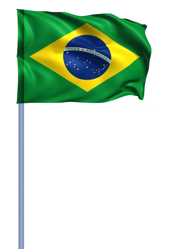 Grey foreign bank account in Brazil.