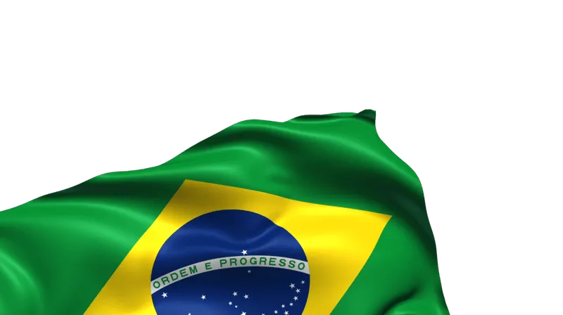 Grey foreign bank account in Brazil.