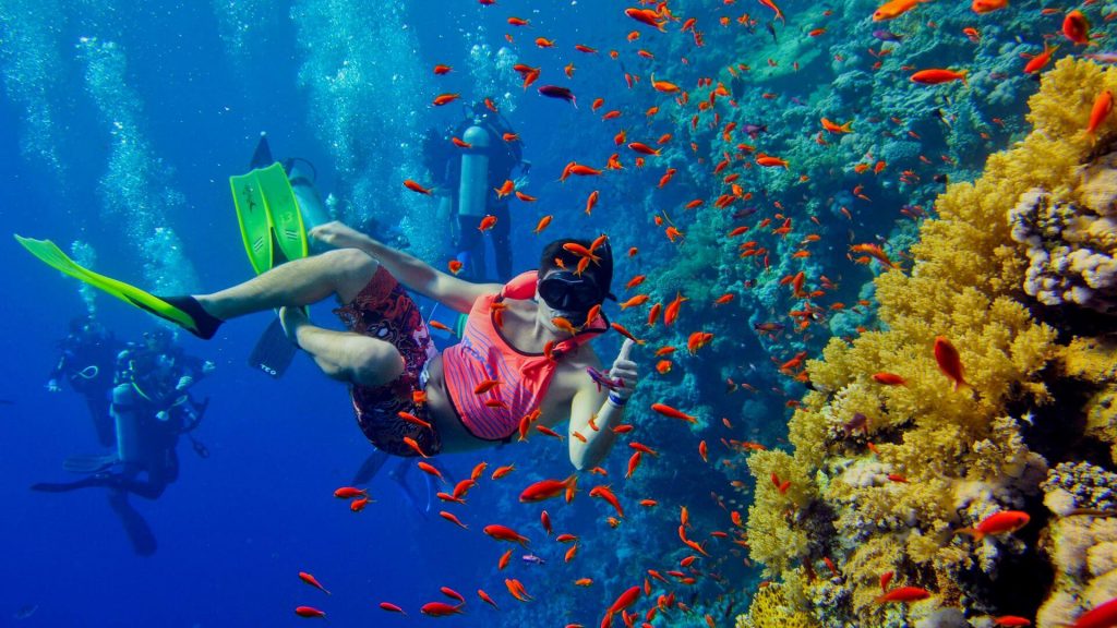 snorkelling in Zanzibar