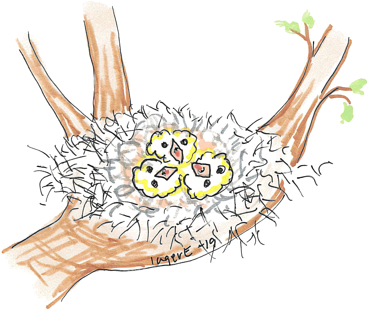 En illustrerad bild på ett fågelbo med fågelungar i.