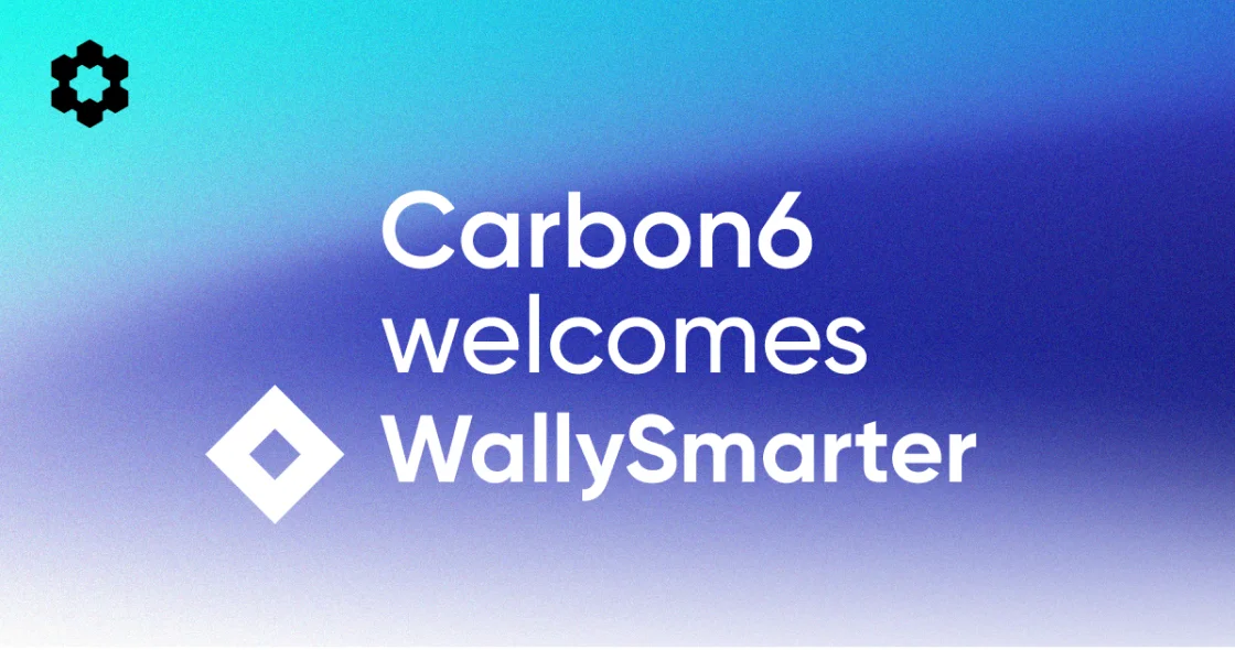 A New Marketplace: Carbon6 Enters Walmart.com with WallySmarter