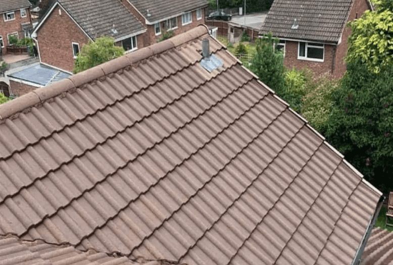 Roof after cleaning