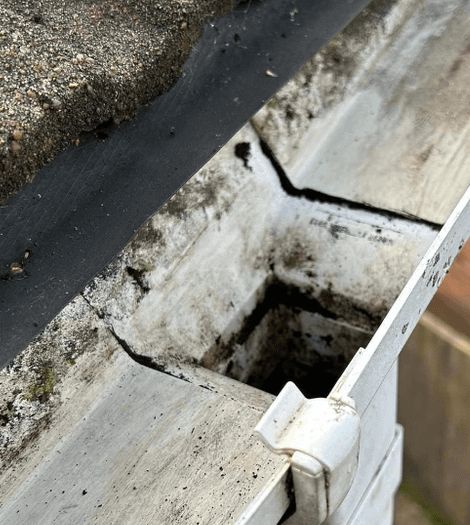 Gutter and fascia cleaning