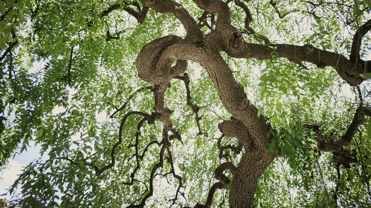 Built to fail? Why early traction should start before your product does