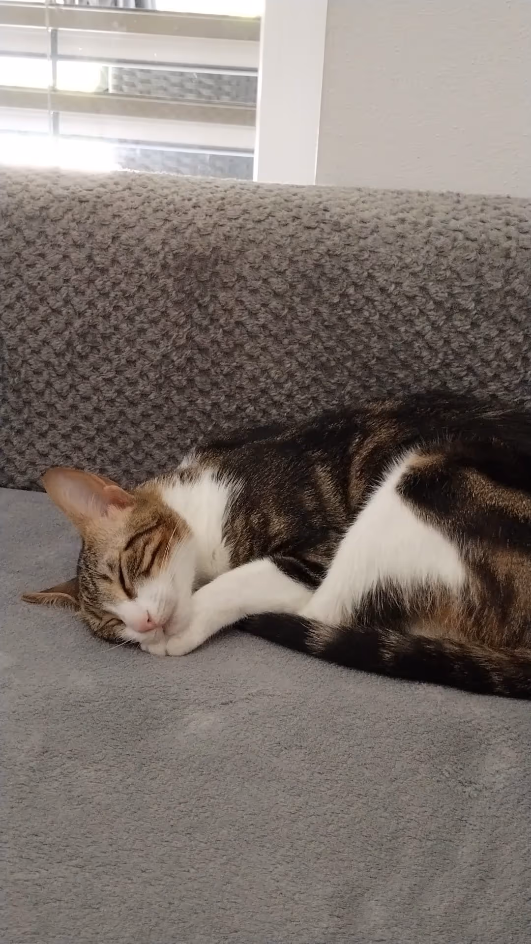 Adopt me - Penelope & Namy