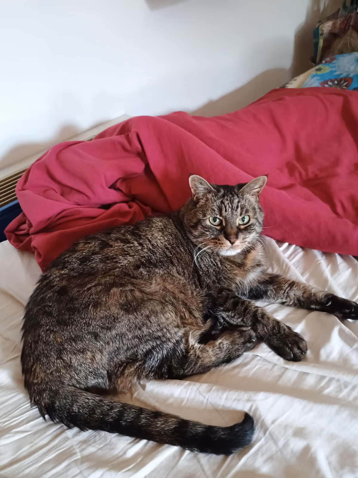 Nina