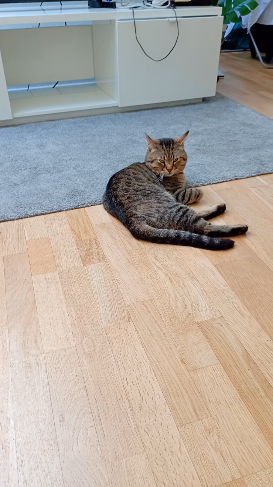 Mia