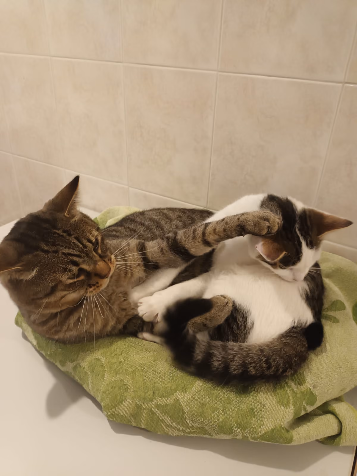 Mia & Lilli