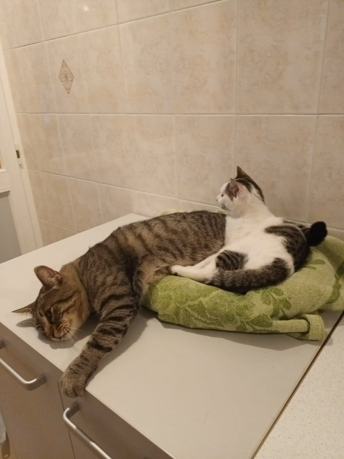 Mia & Lilli